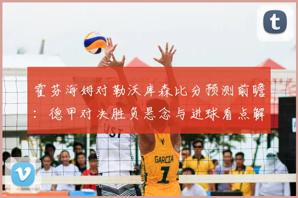 霍芬海姆对勒沃库森比分预测前瞻：德甲对决胜负悬念与进球看点解析