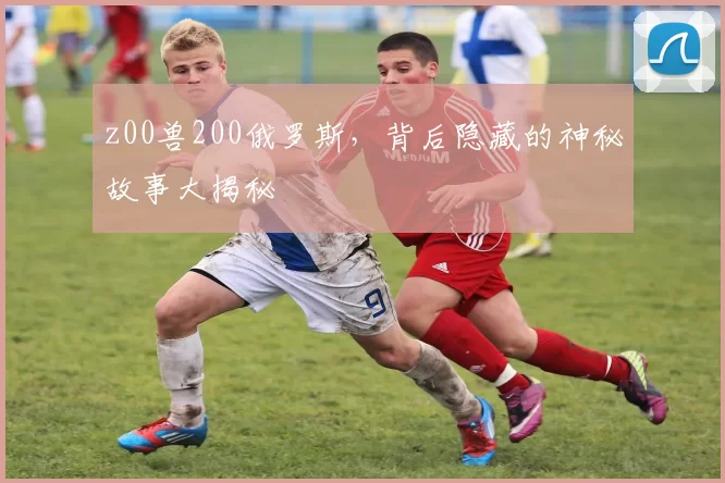 z00兽200俄罗斯,背后隐藏的神秘故事大揭秘