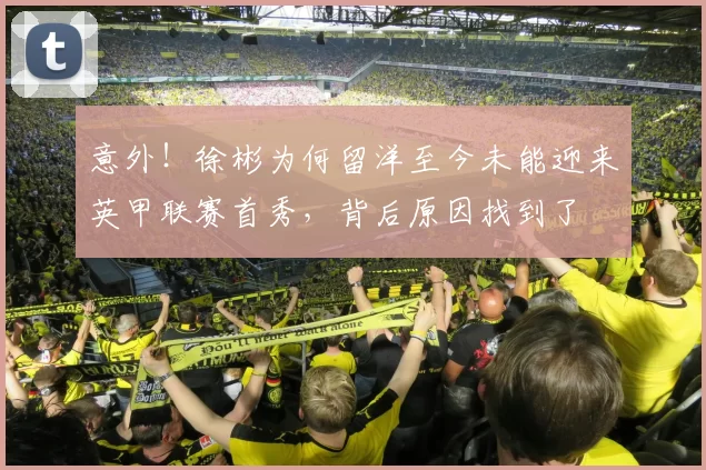 意外！徐彬为何留洋至今未能迎来英甲联赛首秀，背后原因找到了