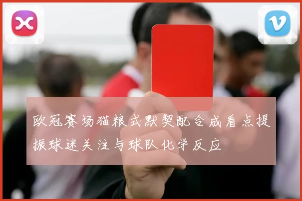 欧冠赛场猫粮式默契配合成看点提振球迷关注与球队化学反应